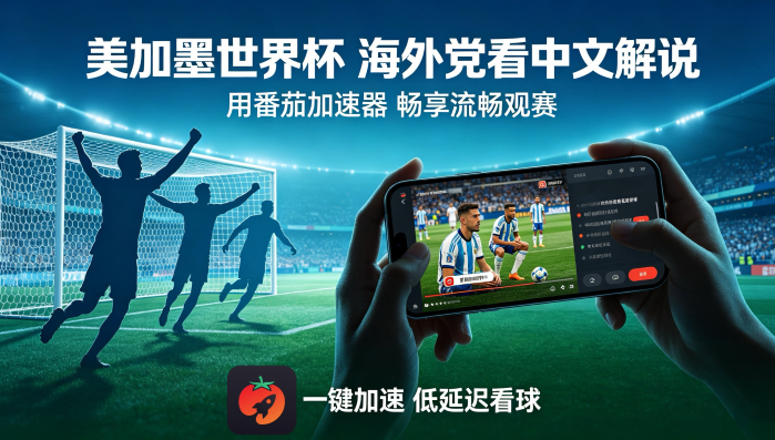 在新加坡看CCTV5世界杯当前IP受限制教程